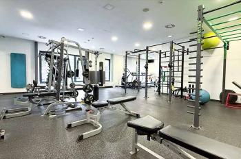 eFi_Gym_pohled.jpg